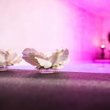 Hébergement de vacances Mandarine Turquoise La Maison