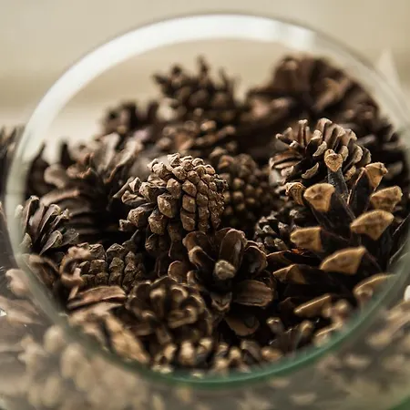 Mandarine Turquoise La Maison * Falmignoul