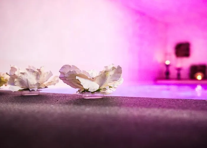 Vakantiehuis Mandarine Turquoise 